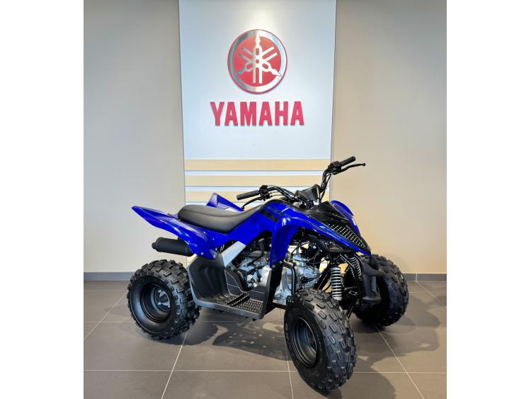 YAMAHA YFM110R