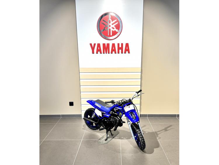 YAMAHA PW50