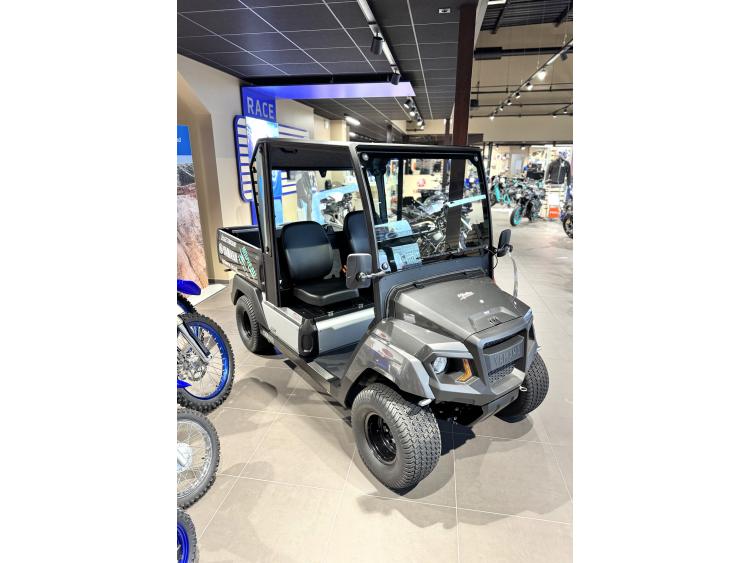 YAMAHA UMX E AC L