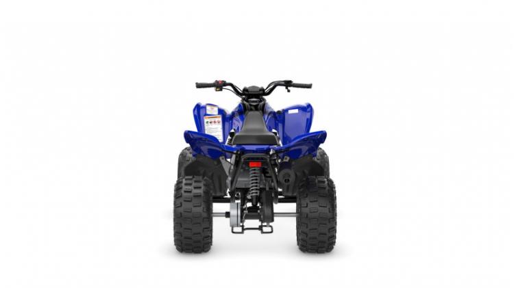 YFM110R (25)