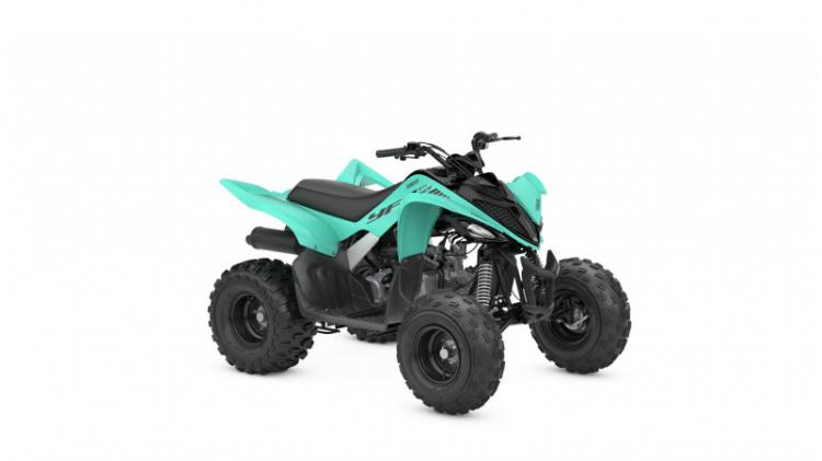 YFM110R (25)