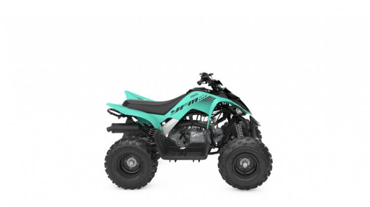 YFM110R (25)