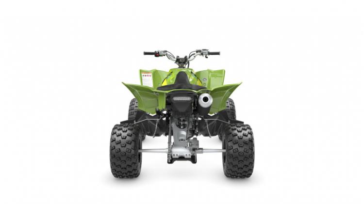YFZ450R SE (25)